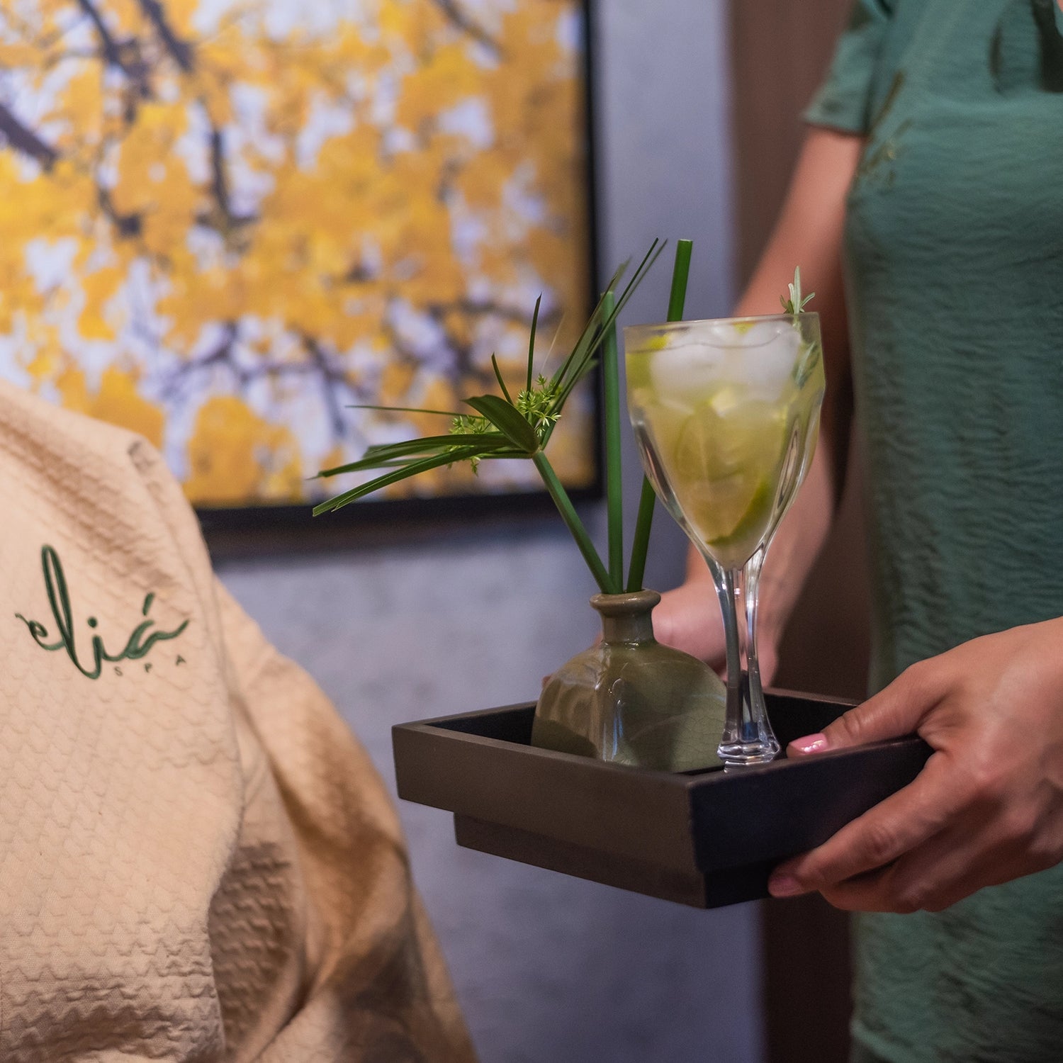 EXPERIÊNCIA REVITALIZAR REFÚGIO TROPICAL
